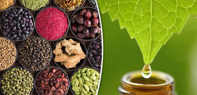 تقویت سیستم ایمنی بدن در طب سنتی 